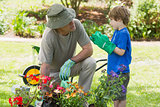Grandfather and grandson engaged in gardening