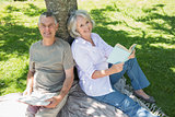 smiling mature couple sitting against tree at park