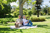 Smiling mature couple sitting against tree at park