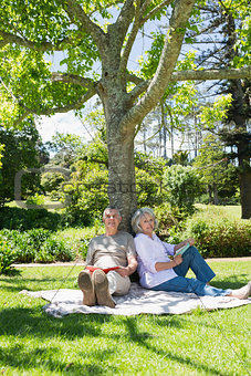 Mature couple sitting against a tree at park