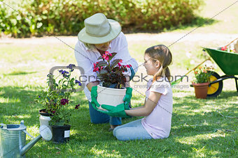 Grandmother and granddaughter engaged in gardening