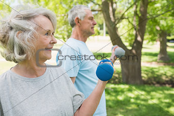 Mature couple using dumbbells at park