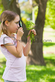 Girl examining leaves with a magnifying glass at park