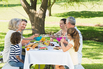 Extended family having lunch in lawn