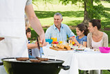Barbecue grill with extended family having lunch in park