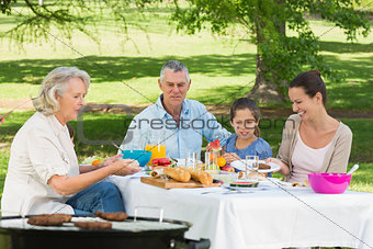 Grandparents mother and daughter having lunch in lawn