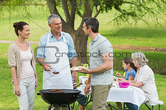 Extended family with barbecue in park