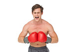 Muscly man wearing red boxing gloves and shouting