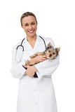 Happy vet holding yorkshire terrier puppy smiling at camera