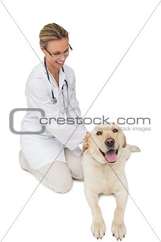 Happy vet petting yellow labrador dog
