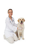 Happy vet petting yellow labrador dog smiling at camera
