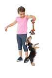 Cute yorkshire terrier puppy playing with little girl holding chew toy