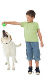 Cute little boy playing ball with his labrador