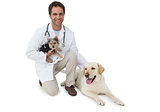 Handsome vet posing with yorkshire terrier and yellow labrador