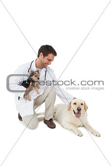 Smiling vet posing with yorkshire terrier and yellow labrador