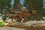 Hypsilophodon Dinosaurs