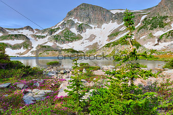 high altitude alpine tundra and a mountain lake in Colorado during summer