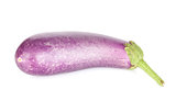 Fresh ripe eggplant