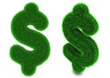 US dollar symbol made of grass