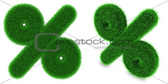 Percentage sign made of grass
