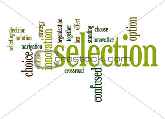 Selection word cloud