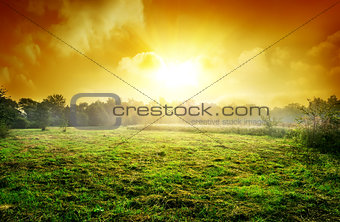 Meadow at sunset