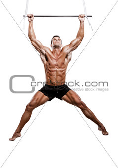 Muscle doing elevations