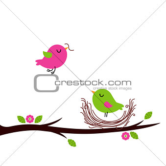 Cute spring nesting birds isolated on white