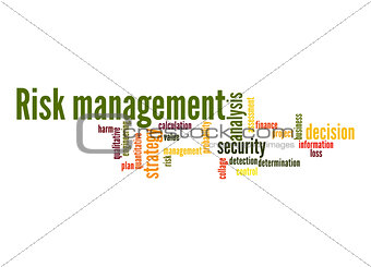 Risk-management-word-cloud