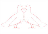 pair of love doves