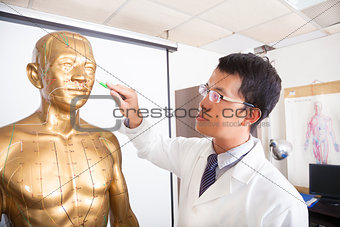 chinese medicine doctor teaching  acupoint on human model