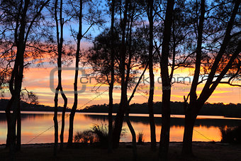 Sunrise reflections and Casuarina silhouettes at the Lagoon