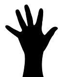 lady hand silhouette vector