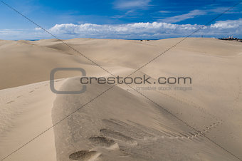 sand from Sahara