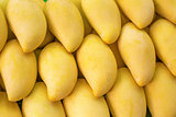 Yellow Mango on market