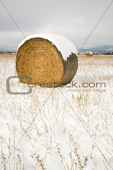 Circular Hay Bale in Snow Covered Field