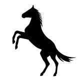 rearing up horse  vector silhouette