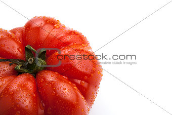 big red tomato close up