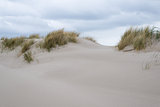 Sand dunes with beach grass