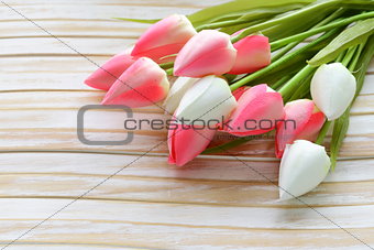 white and pink tulips flowers on a wooden background