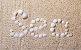 Title "Sea" from shells with coral sand