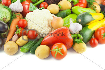 Organic Different Vegetables /  on white background 