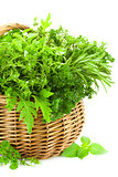Fresh Spicy Herbs in Basket / isolated on white 