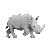 Rhinoceros. 