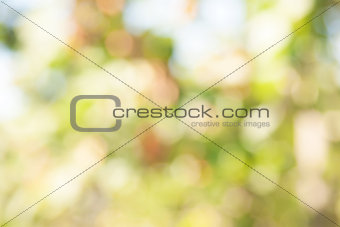 yellow bokeh abstract light background