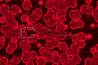 Healthy blood cells.