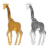 Set of two giraffes. Wall stickers