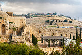  Mount of Olives in the Jerusalem