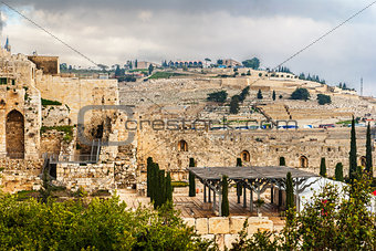  Mount of Olives in the Jerusalem