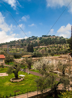 View of the Garden in Jerusalem, Israel